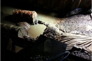 Pullhead making landfall