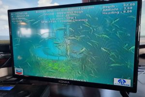 WhatsApp Image 2023-12-01 at 09.51.16 (1)