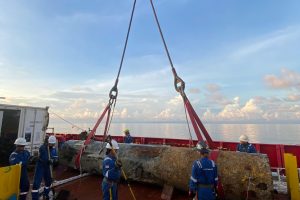 WhatsApp Image 2023-12-01 at 09.51.20