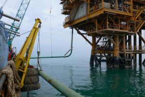 WHP-A 16in Stalk On Riser 2